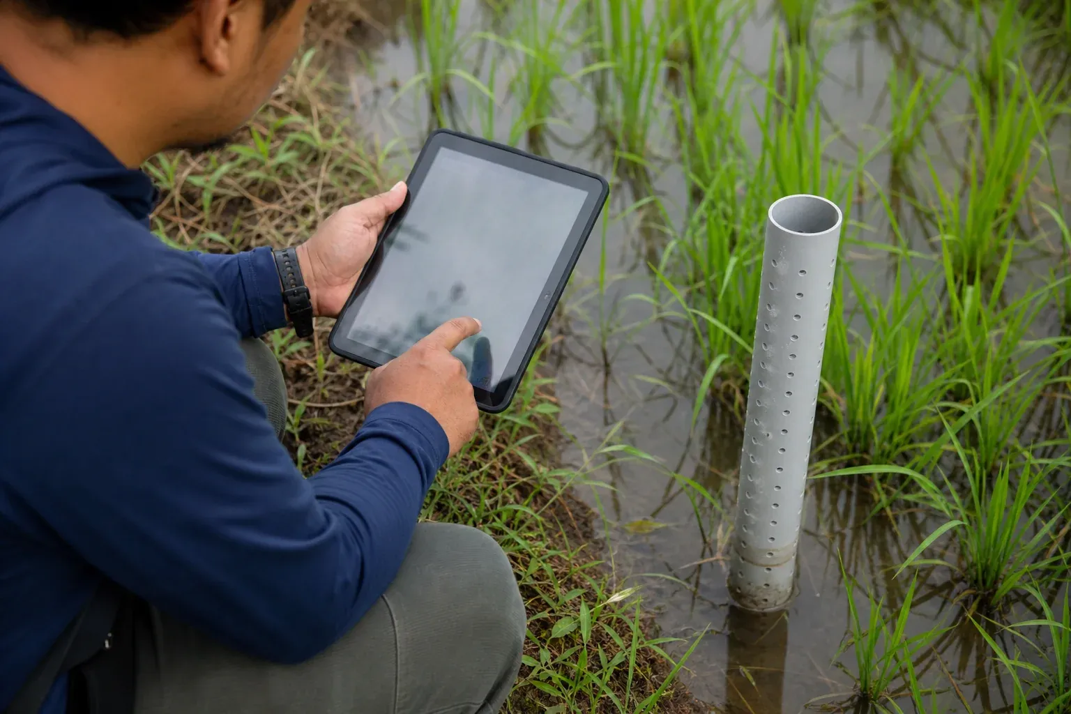 Field technician recording water level data on a tablet for MRV tracking. Photorealistic photo of a field technician crouched beside a rice paddy holding a tablet device, recording water level and plot data next to a perforated observation