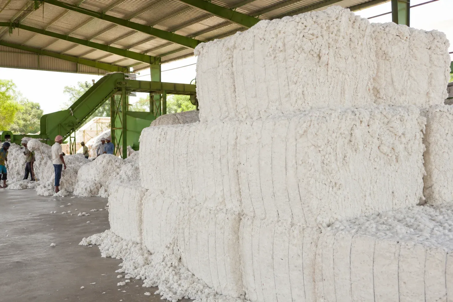Cotton bales at a ginning facility connecting to textile production. photorealistic photo of stacked raw cotton bales at an Indian ginning facility, warehouse setting with natural light streaming through, workers in background handling