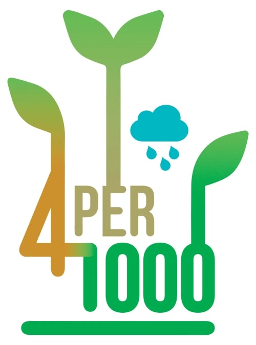 4p1000 Logo