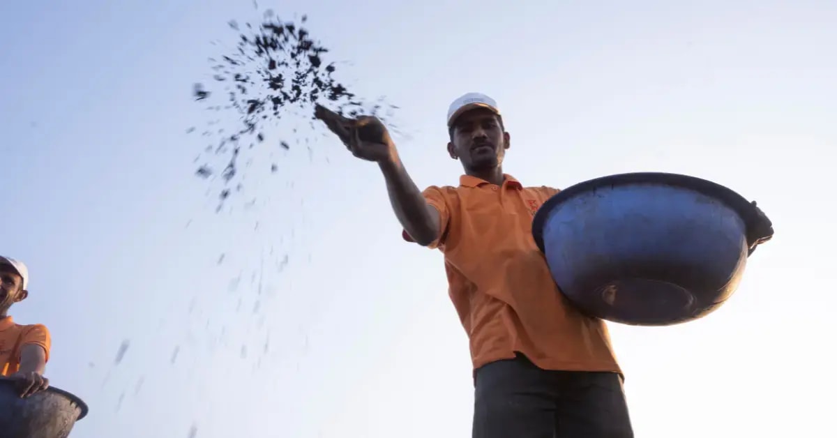 Lead farmers and community networks in the field