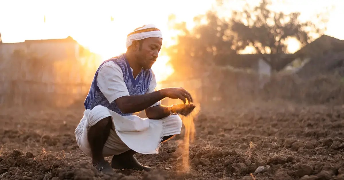 Reduced tillage and composting in regenerative fields