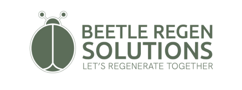 Beetle Regen Solutions